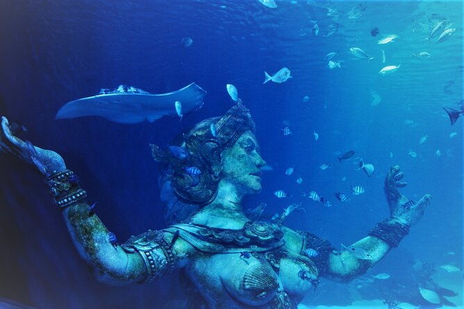 Aquarium Phuket and AR Trick Eye Museum Combo Tickets - Who Should Consider This Tour?