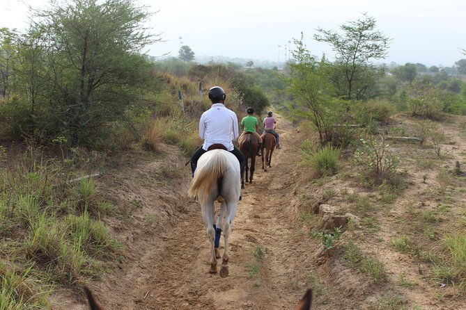 Aravali Trail Experience( Jungle Safari Forest area)- Horseback Riding - Practical Tips for Participants