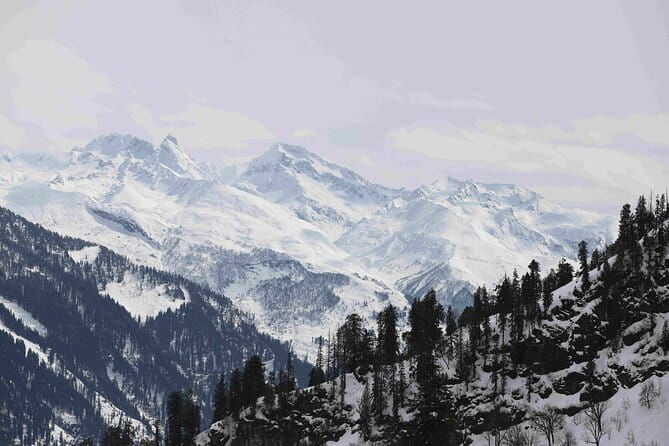Atal Tunnel Sightseeing Tour Covering Sissu & Solang Valley - Is This Tour Worth the Price?