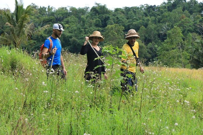 Authentic hike in the forest with lunch at the inhabitant - The Sum Up: Why This Tour Stands Out
