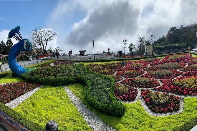 Ba Na Hills & Golden Bridge Tour from Da Nang - Activities & Attractions