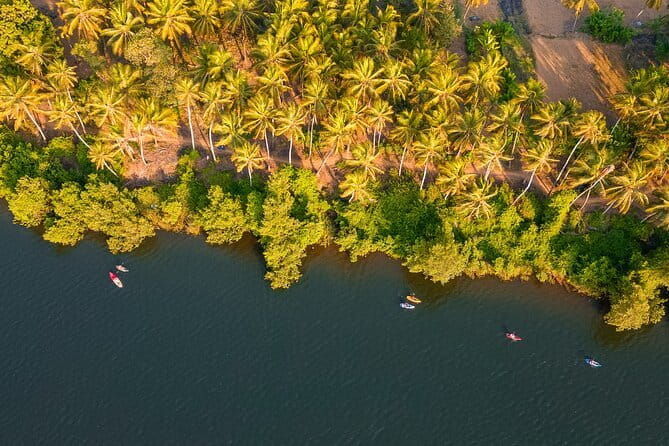 Backwater Kayaking Experience - Practical Tips for Travelers