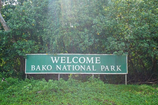 Bako National Park - Wildlife Encounters You Can Expect