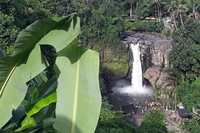 Bali ATV Rafting And Ubud Waterfall Private Tour - The Sum Up: Who Will Love This Tour?