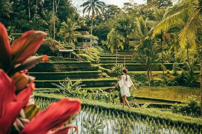 Bali BEST Things to Do Private Full-day Tour from Your Hotel - Overall Value and Experience