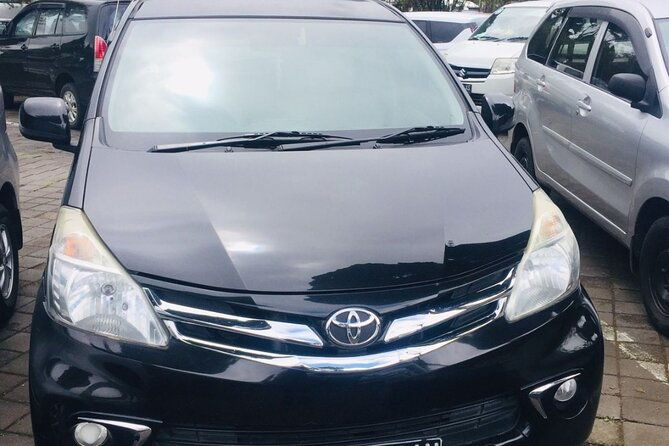 Bali Car Hire with Driver - Who Should Consider This Tour?
