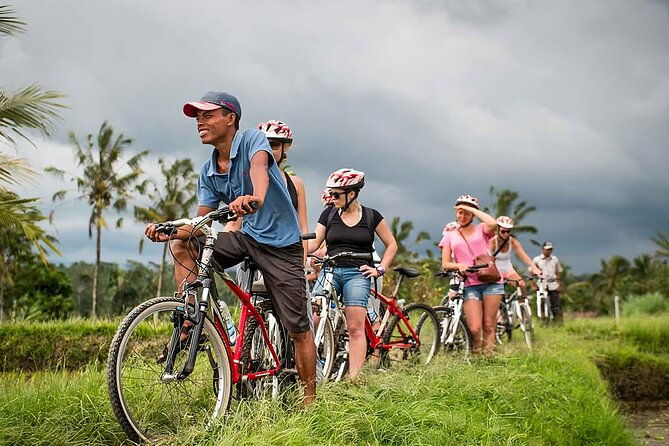 Bali Cycling and Ubud Tour Packages - Authentic Experiences and Insider Tips
