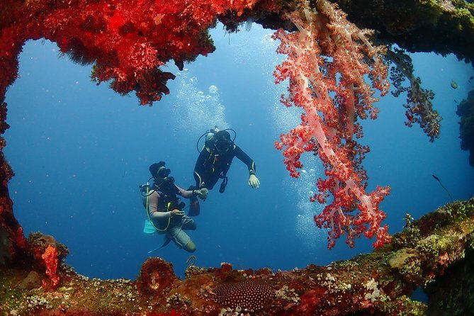 Bali Diving for Beginners: Tulamben Liberty Wreck - The Sum Up: Who Will Love This Experience?