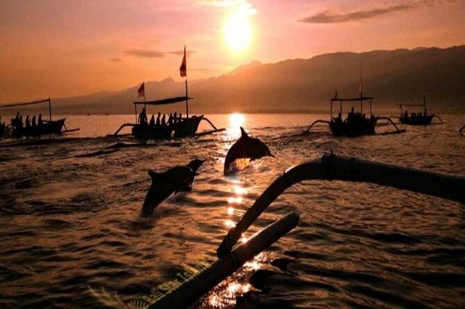 Bali Dolphin Lovina tour and Ulundanu Beratan - The Sum Up: Who Will Love This Tour?  