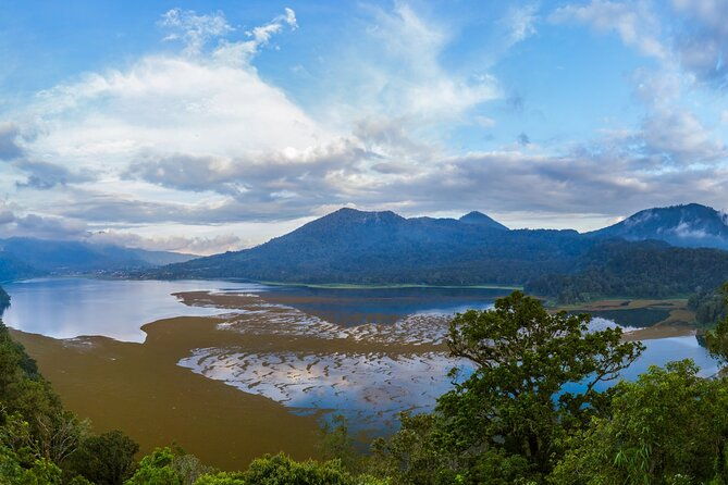 Bali : Dolphin Sunrise Experience Tour Private All Inclusive - The Sum Up