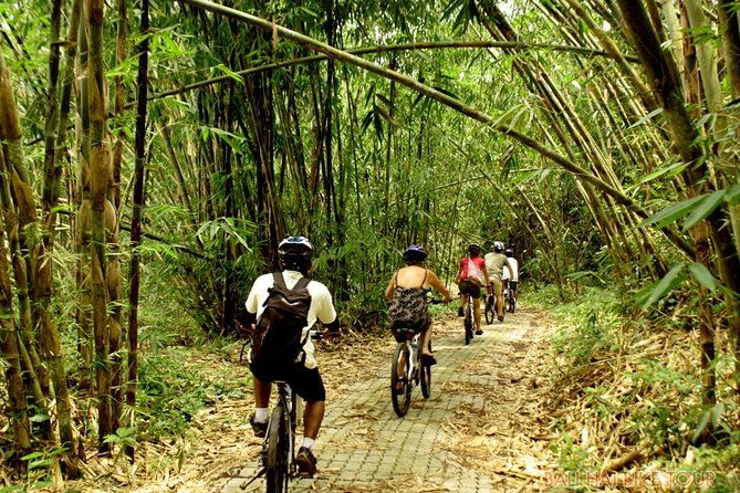 Bali Downhill Cycling and White Water Rafting - The Sum Up