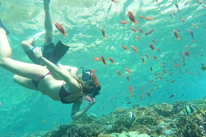 Bali Experience Blue lagoon snorkeling and hidden waterfall - Practical Details and What to Expect