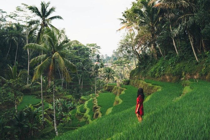 Bali Full-Day Sightseeing Trip with Lunch - Final Thoughts