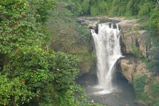 Bali Full-Day Traditional Village Sightseeing Trip All Inclusive - Who Should Consider This Tour?