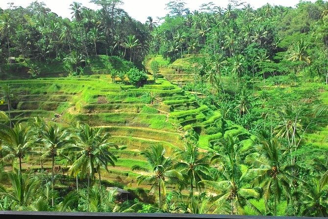 Bali Hindu temple, Rice terrace, Waterfall -All Inclusive - What’s Included and What’s Not