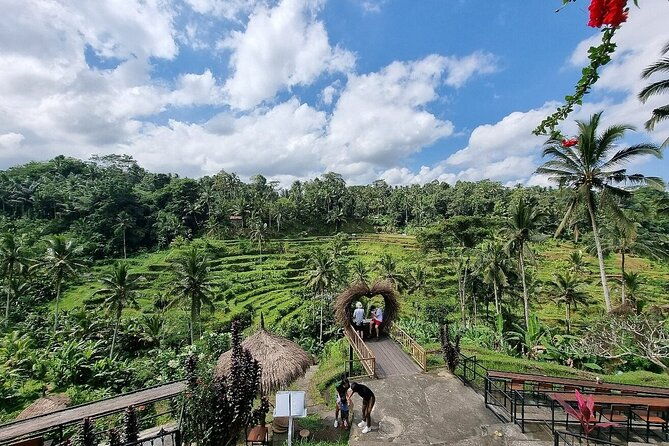 Bali Holy Bathing Ritual and Ubud Highlights tour - Final Thoughts: Who Will Love This Tour?