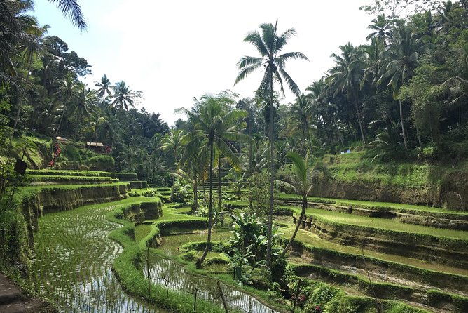 Bali Individual Route With Private English Speaking Driver - FAQ
