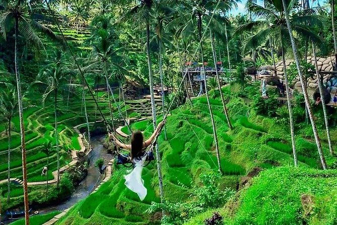 BALI INSTAGRAM TOUR Private Tour with Wifi onboard - FAQ