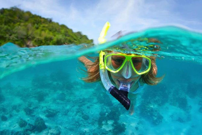 Bali Menjangan Island Snorkeling Day Tour - The Sum Up