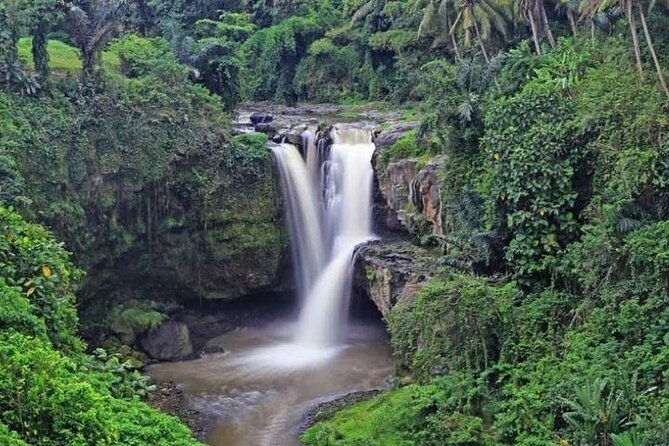 Bali Private Car Charter with English Speaking Driver Or Guide - Pricing & Value Analysis