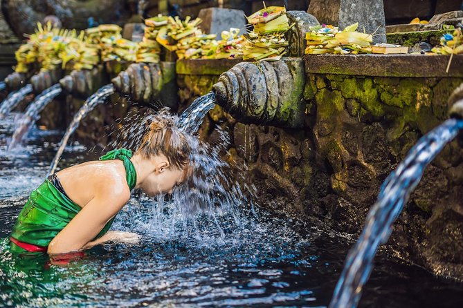 Bali Private Chartered Tour - Who Will Love This Tour?