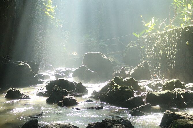 Bali Private Full Day Tour to Visit the Best Waterfalls and Swing near Ubud - Who Should Book This Tour?