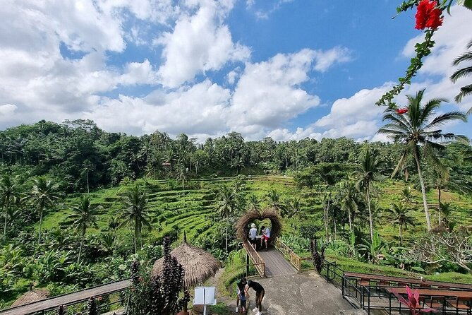 Bali Private inclusive tour: Best of Ubud in a Day - Is This Tour Right for You?