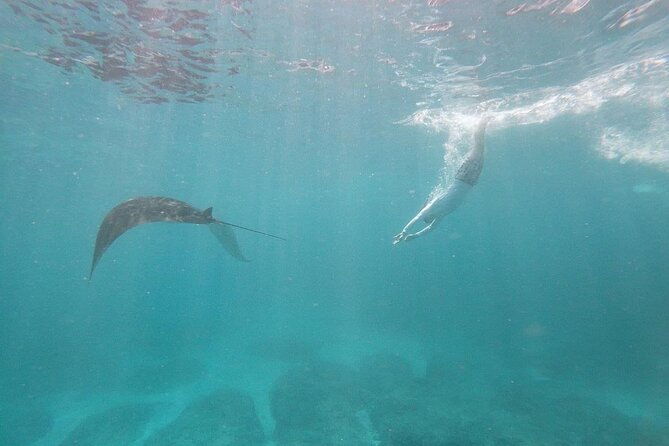 Bali Private Snorkeling (Manta, Gamat, Wall) and Nusa Penida Tour - Practical Details: Transport, Timing, and Comfort