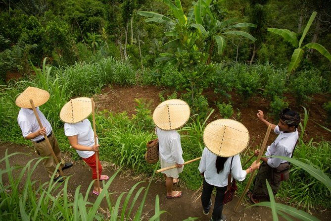 Bali Pure trek with spiritual journey, purification ceremony, local priest -Ubud - Final Thoughts