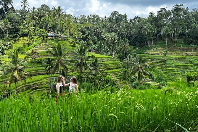 Bali Rafting : Bali Family Rafting in Ubud and Ubud Private Tour - Who Would Love This Tour?