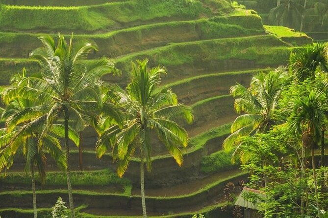 Bali Sightseeing - FAQ
