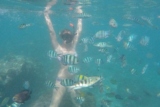 Bali Snorkeling at Blue Lagoon include private transport - What Could Be Better