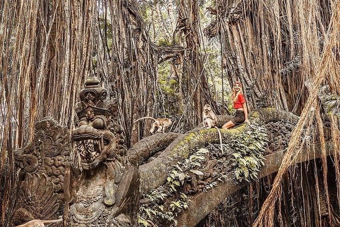 Bali Sunset: Uluwatu Temple - Kecak Dance- Jimbaran Bay - Insights from Real Reviews