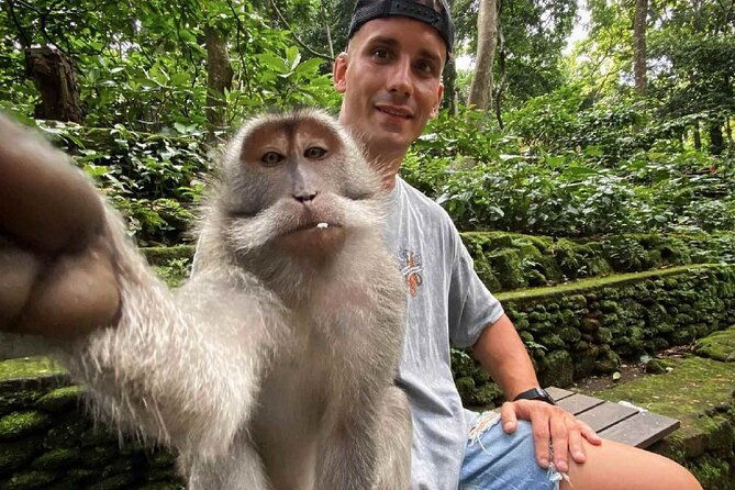 Bali Swing, Monkey Forest and Waterfall Tour - FAQs