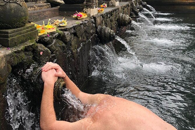 Bali Swing Ubud Hot Spring Waterfall Private Tour Free WiFi - Final Thoughts: Who Will Love This Tour?