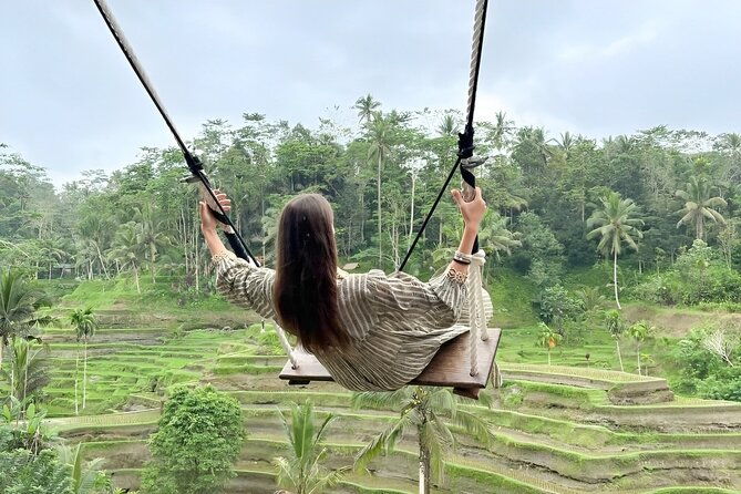 Bali Tour : Best Attractions in Ubud with Rice Terrace - The Sum Up