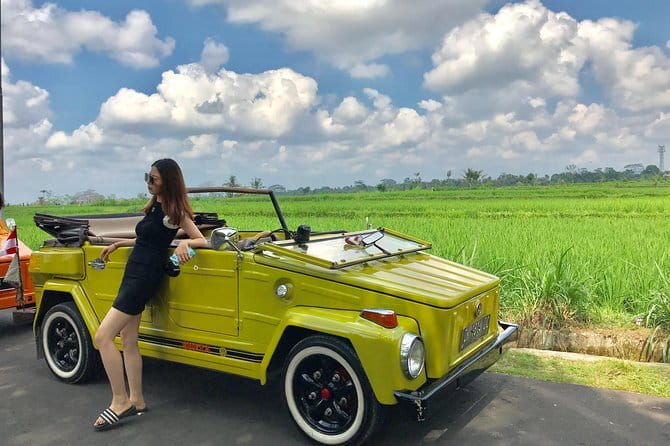 Bali Tour Driver - What We Loved and What to Consider