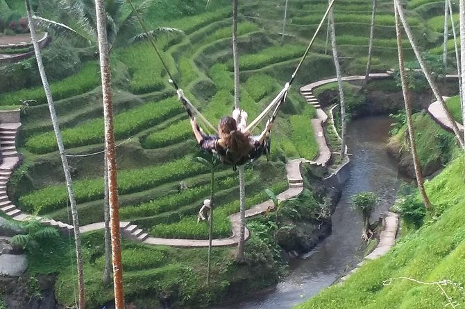 Bali Ubud Private Costomized Tour - Explore Bali your way - Who Will Love This Tour?