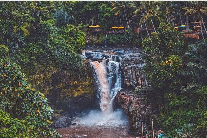 Bali Ubud private Tour with Ubud Bali Driver - FREE WIFI - Final Thoughts: Who Is This Tour Best For?