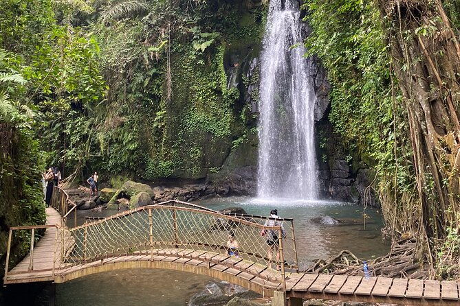 Bali : Ubud Private Tours - Authentic Experiences and Unique Insights