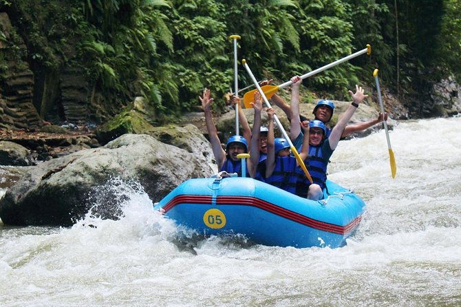 Bali Water Rafting with Lunch & Private Transfer - Who Will Love This Tour?