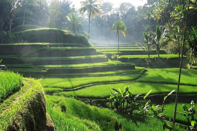 Bali Waterfall in One Day Tours, Hidden Waterfall - All Inclusive - Authenticity and Guide Excellence
