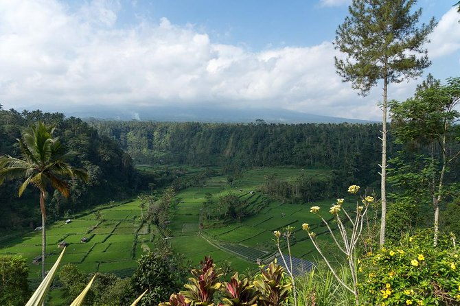 Bali Waterfalls and Temples Tour - Frequently Asked Questions
