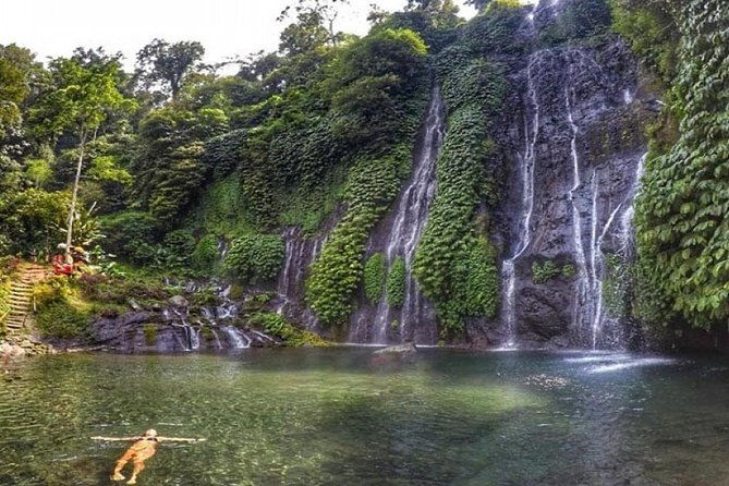 Bali Waterfalls Tour - One Day Private Tour - Authentic Experiences from Reviewers