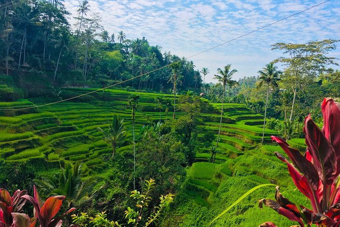 Balinese culture including tukad cepung waterfall - Who Should Consider This Tour?