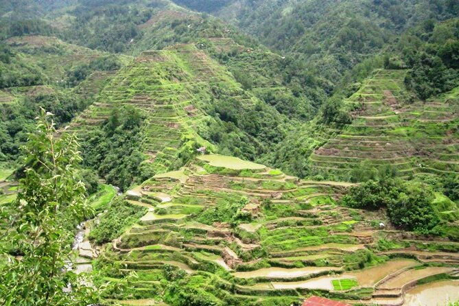 Banaue-Hapao Rice Terraces (Car Rental W/ Manila Tourist Driver) - Why This Tour Stands Out