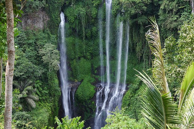 Banyuwana & Banyumala Waterfalls Tour (Private & All-Inclusive ) - Who Is This Tour Best For?
