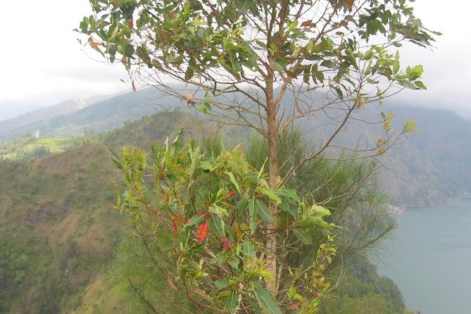 Batur Caldera Sunrise Trekking - Authentic Insights from Reviewers