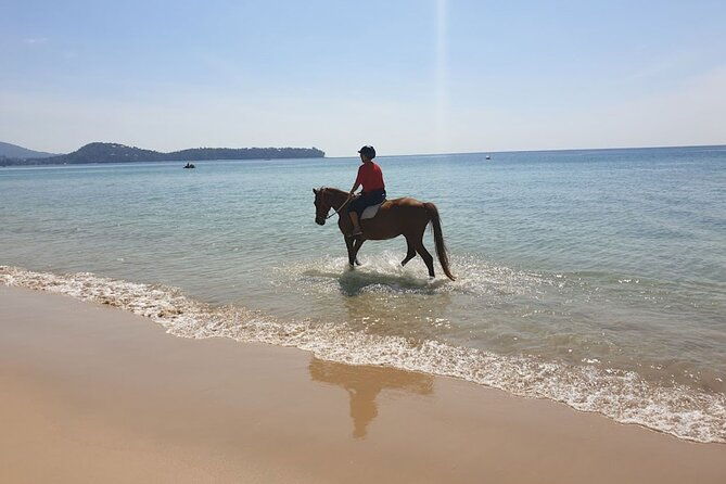 Beach Horse Riding Activity in Phuket - Practical Details and Tips