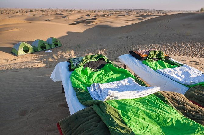 Become a Desert Nomad  Overnight Camel Safari in the Wild - Is This Tour Worth the Price?